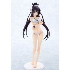 Houki Shinonono: Swimsuit Ver.